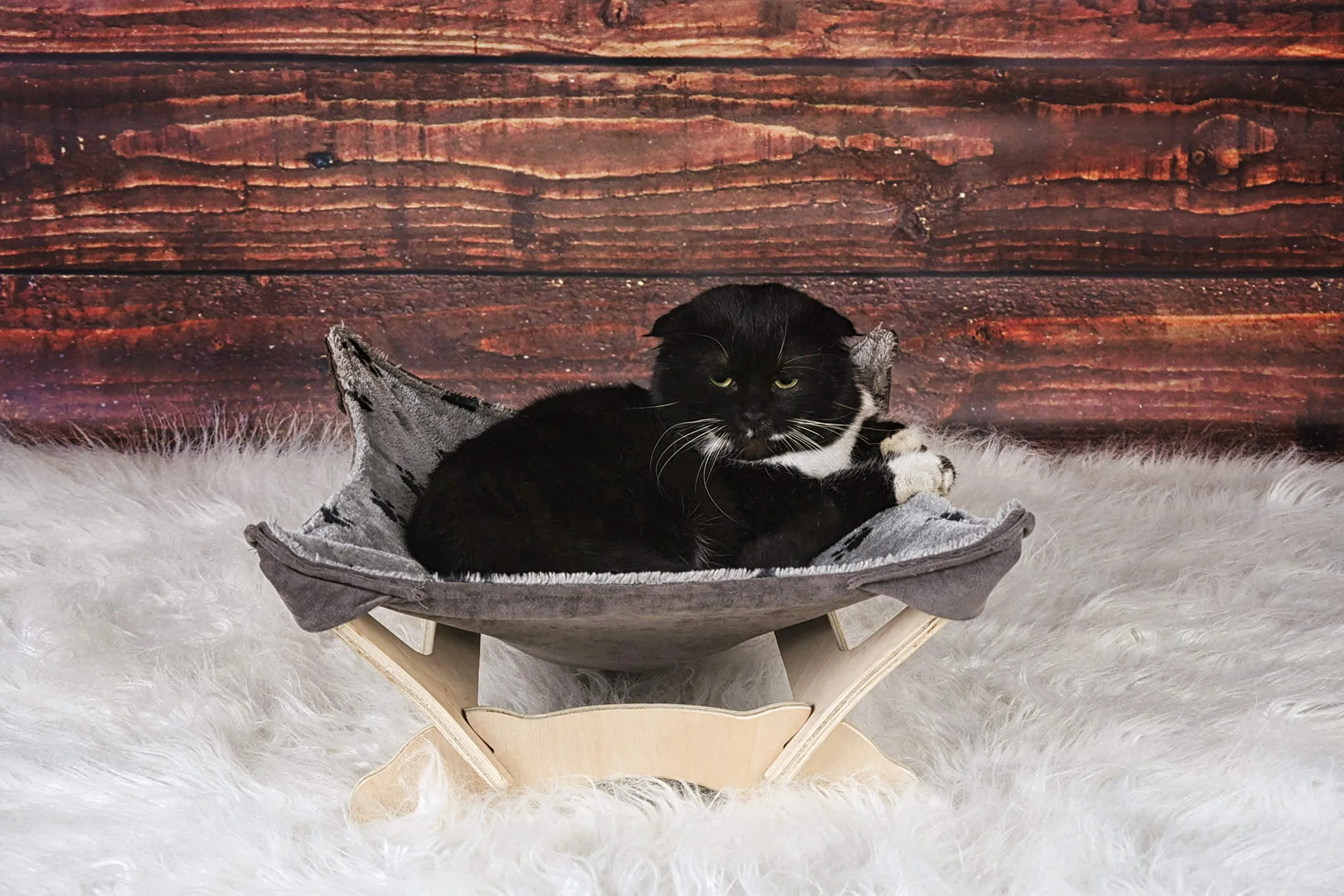 Cat Hammock with Stand - Paws One