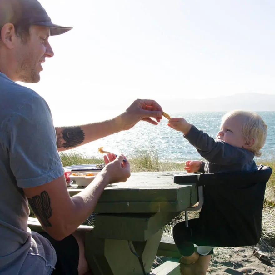 Mountain Buggy POD portable high chair