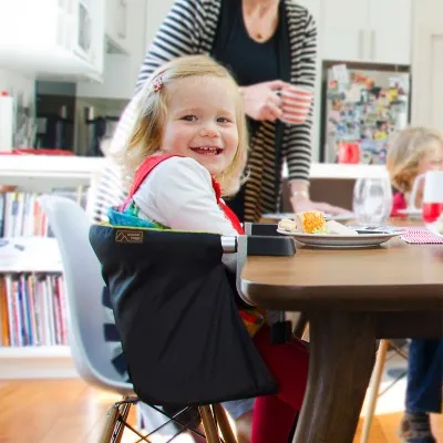 Mountain Buggy POD portable high chair