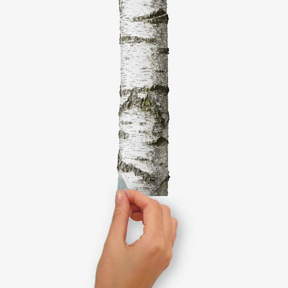 Realistic Birch Trees Peel and Stick Giant Wall Decals