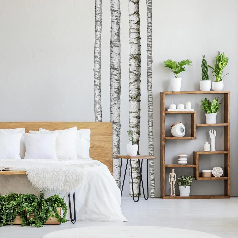 Realistic Birch Trees Peel and Stick Giant Wall Decals