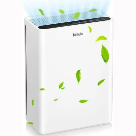 Tailulu HQZZ-260 Air Purifier for Large Room Home Up to  to 1614 Ft², H13 True HEPA Air Filter